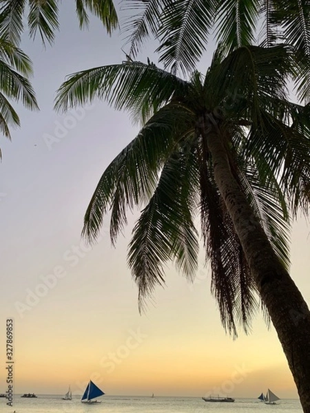 Obraz palm trees and blue sky
