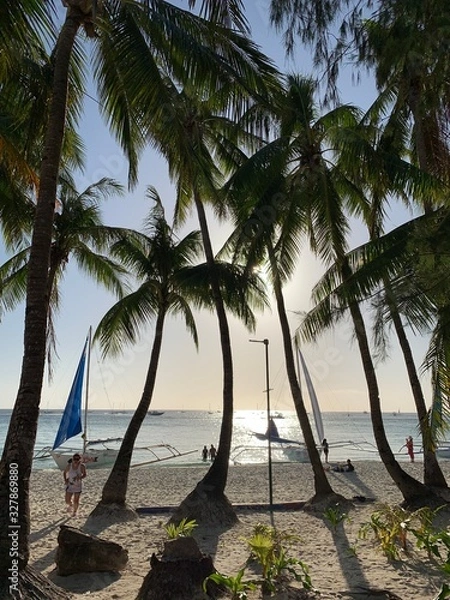 Obraz palm trees on the beach