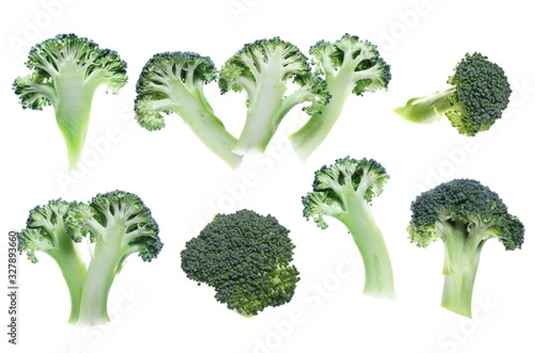 Fototapeta Set fresh sliced broccoli isolated on white background