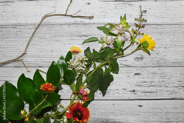 Obraz Florida Wild Flowers