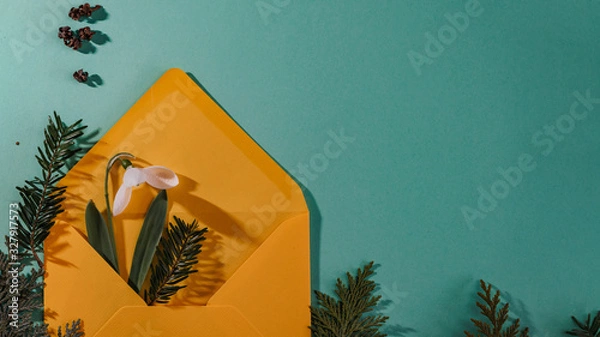 Fototapeta Spring time, Increasing position of snowdrops on a turquoise background, top view, modern and simple decor