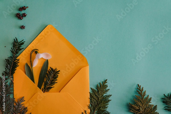 Fototapeta Spring time, Increasing position of snowdrops on a turquoise background, top view, modern and simple decor
