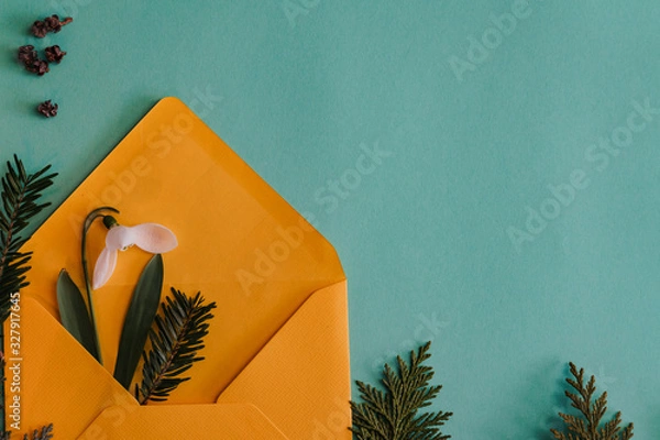 Fototapeta Spring time, Increasing position of snowdrops on a turquoise background, top view, modern and simple decor