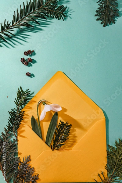 Fototapeta Spring time, Increasing position of snowdrops on a turquoise background, top view, modern and simple decor