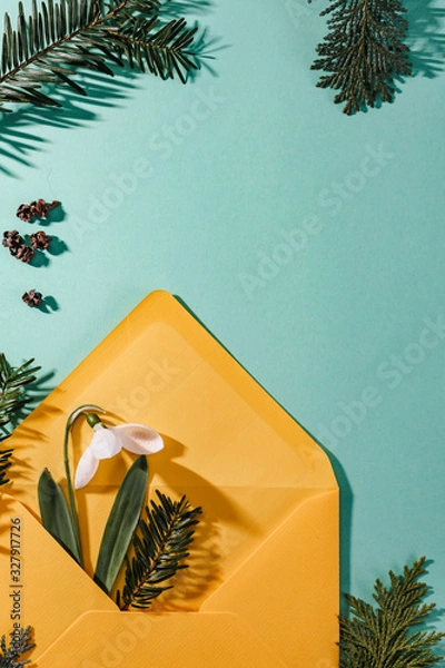 Fototapeta Spring time, Increasing position of snowdrops on a turquoise background, top view, modern and simple decor