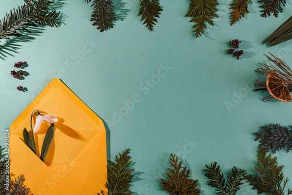 Fototapeta Spring time, Increasing position of snowdrops on a turquoise background, top view, modern and simple decor