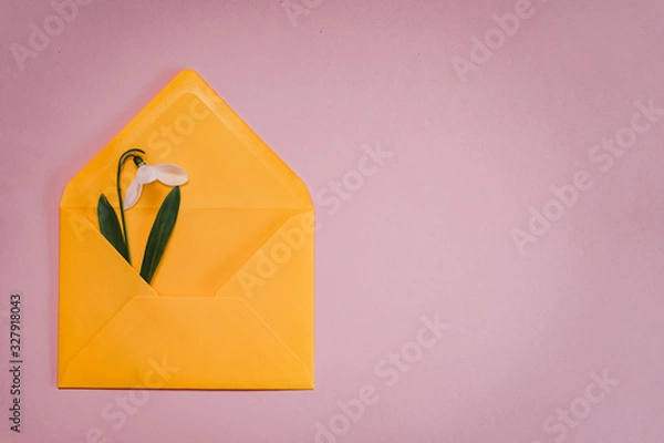 Fototapeta Spring card with snowdrop and spruce twig in an yellow envelope isolated on clear pink background, top view, single object