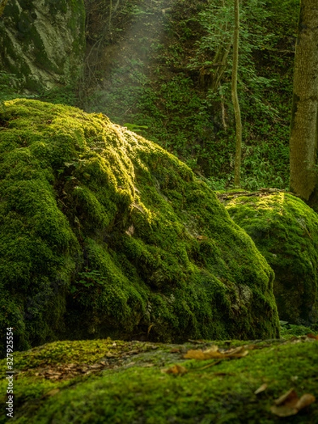 Obraz Mossy rocks in summer in the Ysperklamm nature reserve in the Waldviertel in Lower Austria