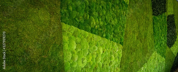Obraz living moss wall abstract