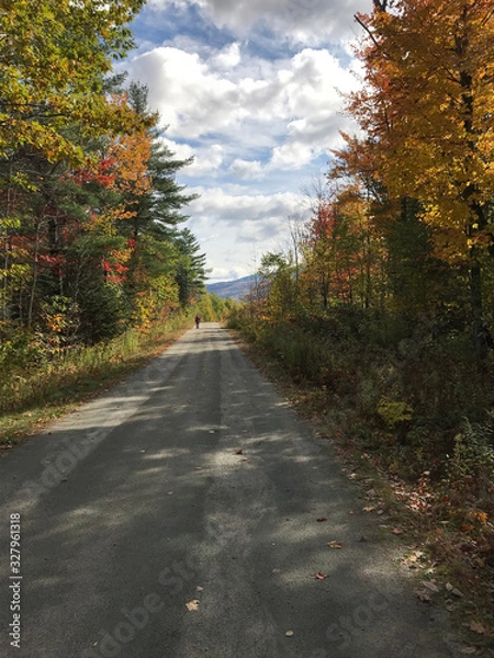 Obraz country lane 8