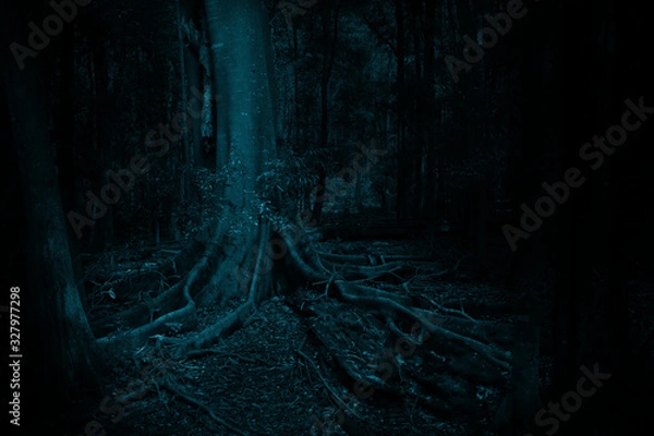 Obraz Dark Moody Tree forest scene
