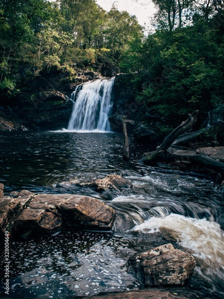 Obraz waterfall in the forest