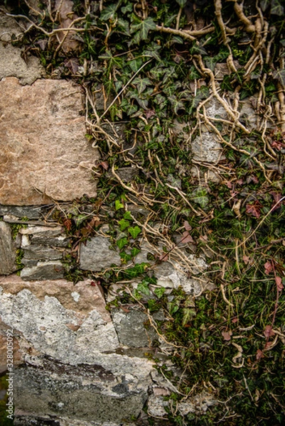 Obraz stone wall with moss