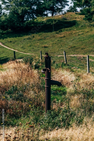 Fototapeta fence in the woods with a pump