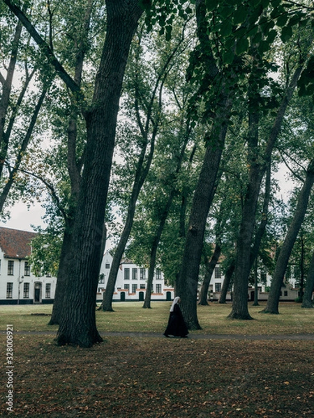 Fototapeta path in the park with a nun