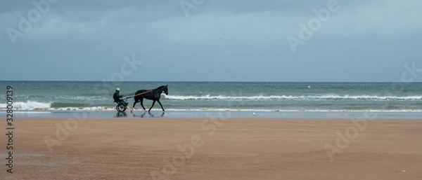 Fototapeta person riding a horse on the beach