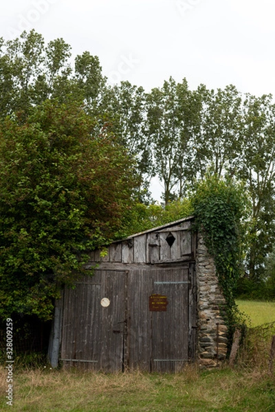 Obraz old barn in the woods