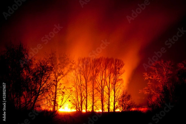 Fototapeta Night Fire