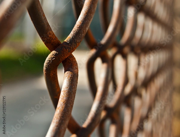 Obraz Rusty fence mesh