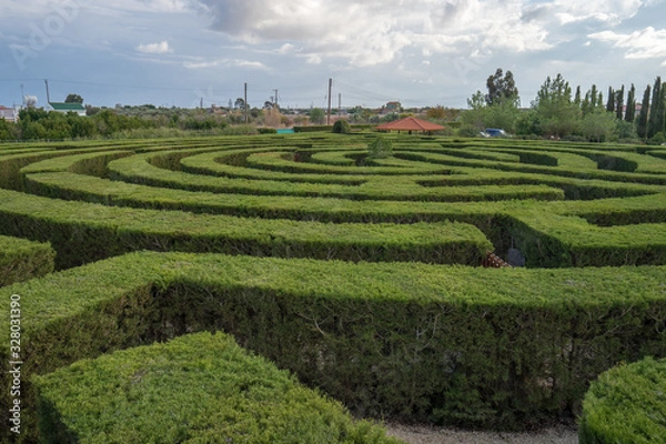 Fototapeta Maze garden