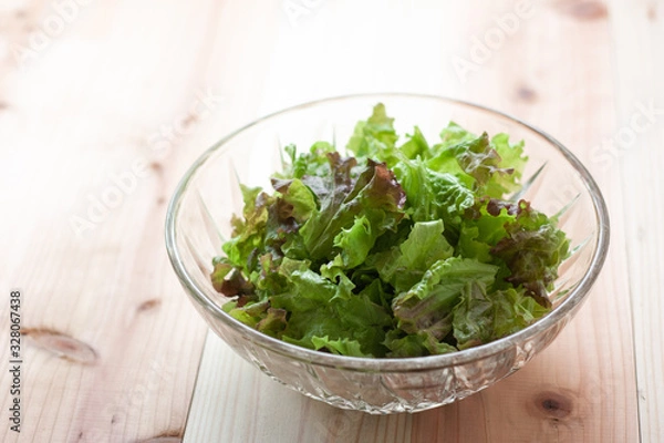 Obraz サラダボウルに入ったレタス
