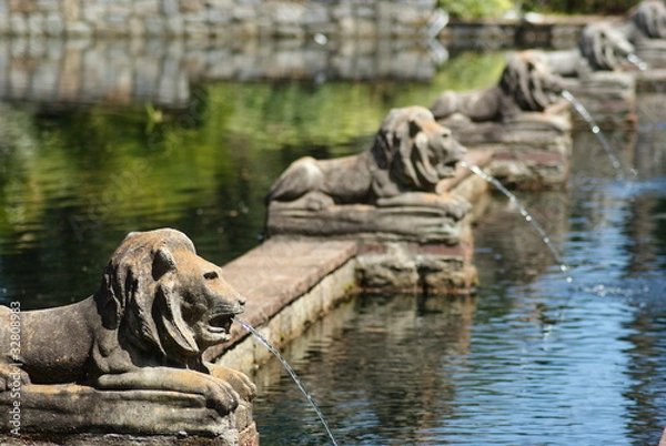 Obraz Lion Fountains