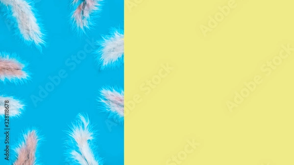 Fototapeta background of multi-colored feathers. closeup