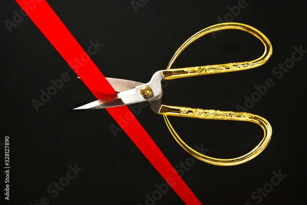 Obraz The grand opening.