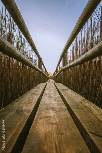 Obraz wooden path on lake