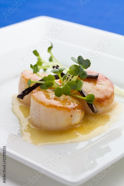 Obraz close up scallop