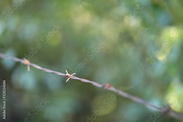Obraz Barbed wire and posts with blurred background