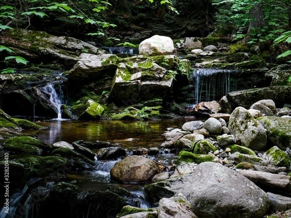 Fototapeta Trickle of the stream