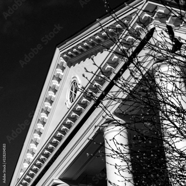 Fototapeta Branches reaching out