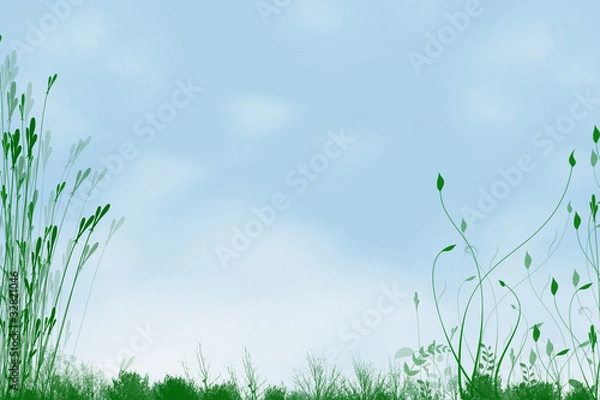 Obraz piante e cielo