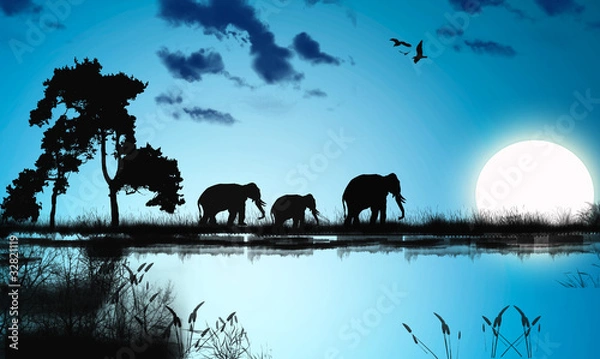 Obraz Afrykańska noc