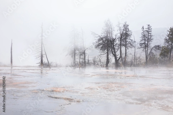 Obraz Inside flood area of geyser basin covered by smoke.