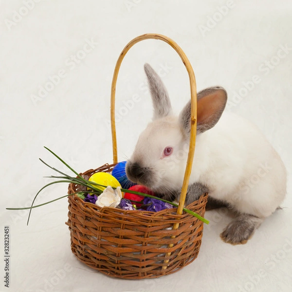 Fototapeta cute Easter light rabbit on a light background with a basket and Easter eggs