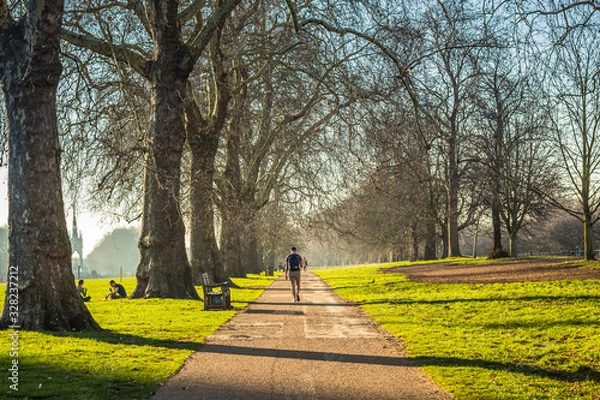 Obraz Unrecognizable man walking through the park on a tree-lined pathway on a sunny day. Hyde Park, London UK