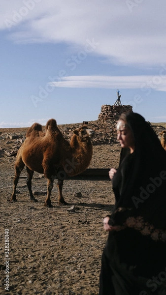 Obraz beautiful woman national eastern clothes black color,veil,hijab,abaya ornament her head,portrait steppes camels,strong wind,desert,wildlife,well,decoration,caucasian,slow ,sun