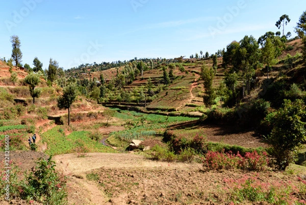Fototapeta Small valley with agriculture in the Usambara Mountains