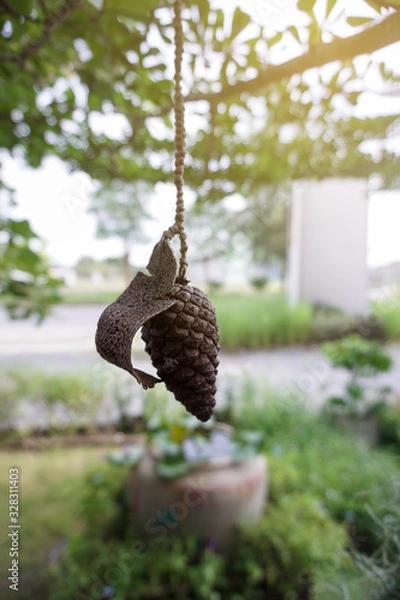 Obraz Pine cone in warm light. Close up.