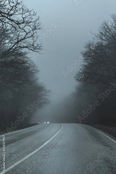 Fototapeta road in a thick fog. black- and-white image of trees, roads in fog