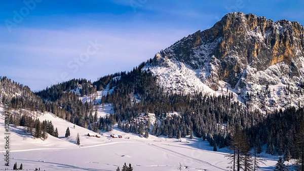 Obraz winter in the mountains