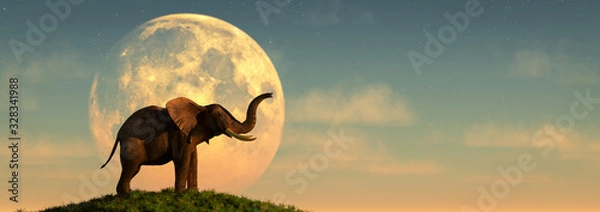 Obraz elephant and sunset