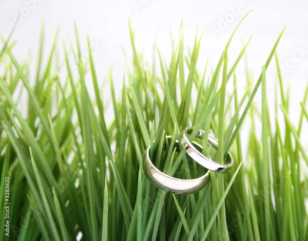 Obraz wedding bands in green grass