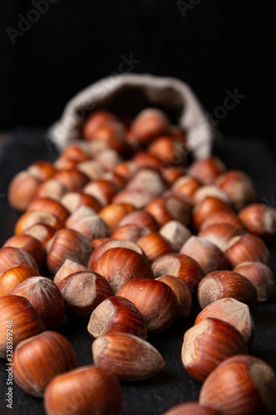 Fototapeta Hazelnuts in shells fall out of a linen bag on a dark background. Front view.