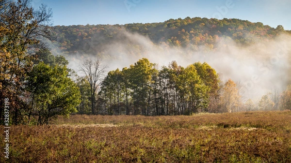 Obraz Fog over the bog