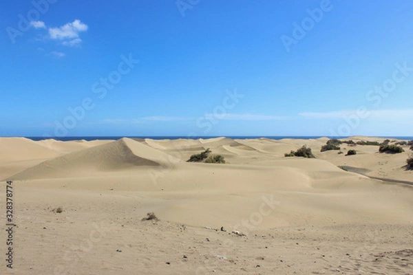 Obraz sand dunes