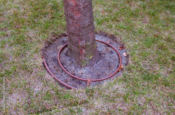 Obraz modern drip system for a tree in a park