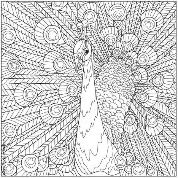 Obraz stylization of a peacock, against the background of a fluffy tail, for coloring for adults, t-shirts with a pattern, a poster, etc.